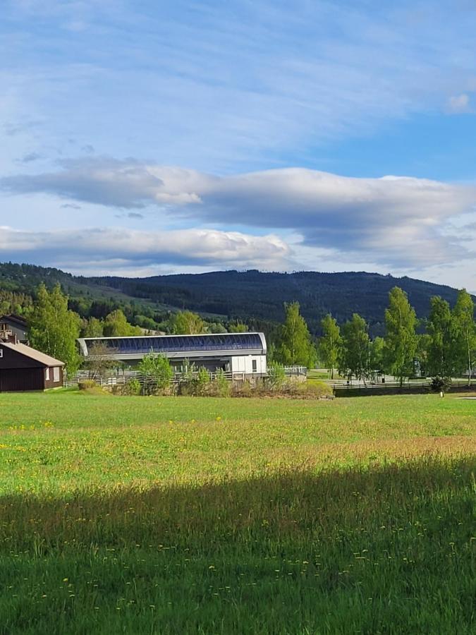 Friends & Family Apartment At Hafjell Alpinlandsby/Oyer Center Bagian luar foto