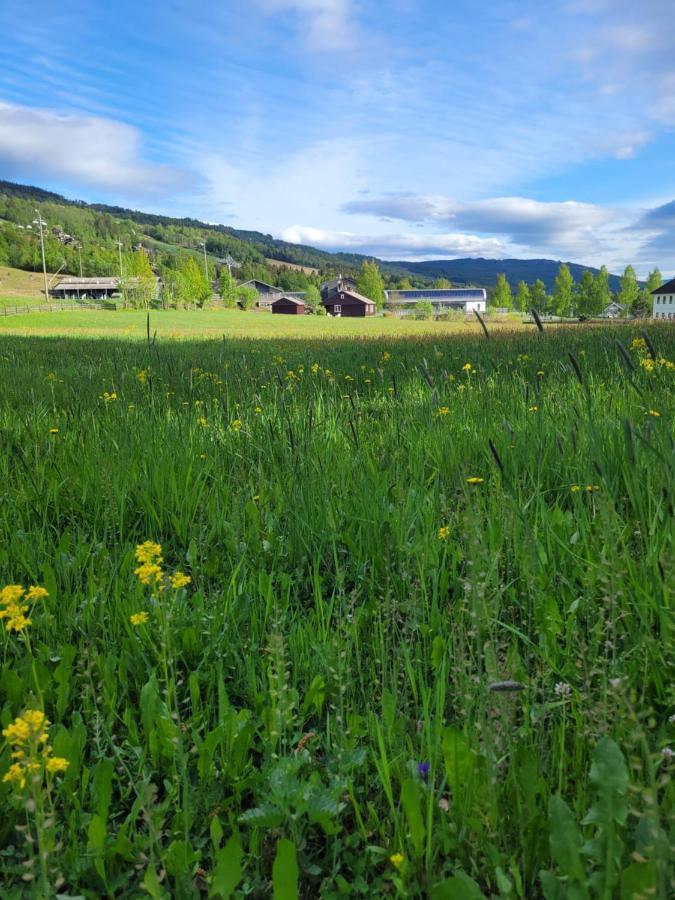 Friends & Family Apartment At Hafjell Alpinlandsby/Oyer Center Bagian luar foto